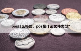 pos什么格式，pos是什么文件类型？