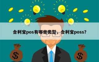 合利宝pos有哪些类型，合利宝poss？