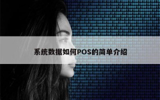 系统数据如何POS的简单介绍