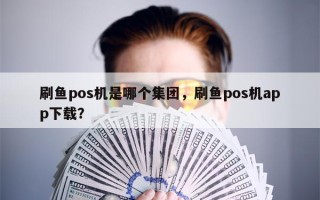 刷鱼pos机是哪个集团，刷鱼pos机app下载？