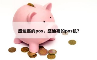 盛迪嘉的pos，盛迪嘉的pos机？