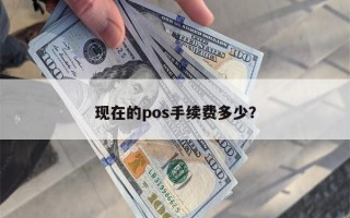 现在的pos手续费多少？