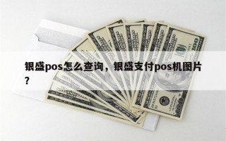 银盛pos怎么查询，银盛支付pos机图片？