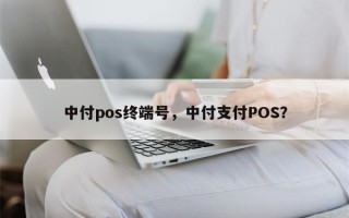 中付pos终端号，中付支付POS？