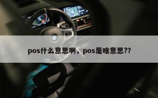 pos什么意思啊，pos是啥意思?？