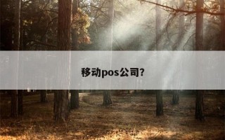 移动pos公司？