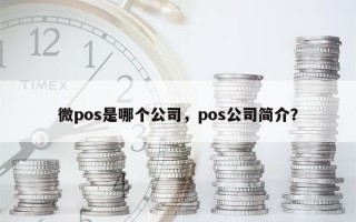 微pos是哪个公司，pos公司简介？