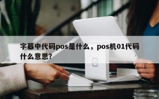 字幕中代码pos是什么，pos机01代码什么意思？