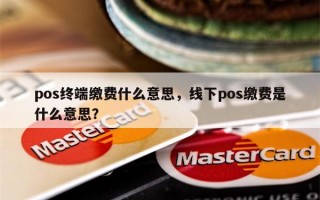 pos终端缴费什么意思，线下pos缴费是什么意思？