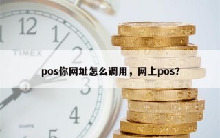 pos你网址怎么调用，网上pos？