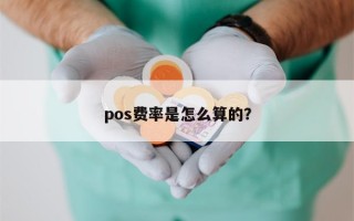 pos费率是怎么算的？