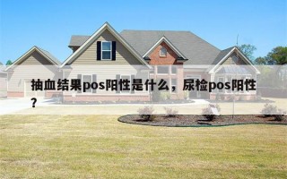 抽血结果pos阳性是什么，尿检pos阳性？