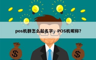 pos机群怎么起名字，POS机昵称？