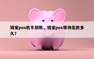 钱宝pos机不到账，钱宝pos等待出款多久？