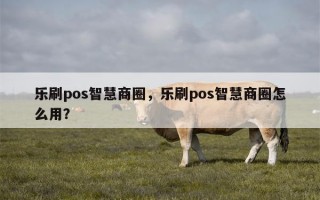 乐刷pos智慧商圈，乐刷pos智慧商圈怎么用？