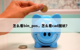 怎么看bin_pos，怎么看cad图纸？