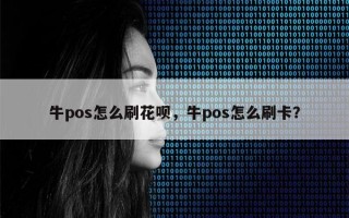 牛pos怎么刷花呗，牛pos怎么刷卡？