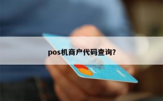 pos机商户代码查询？