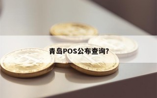 青岛POS公布查询？