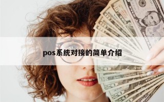 pos系统对接的简单介绍