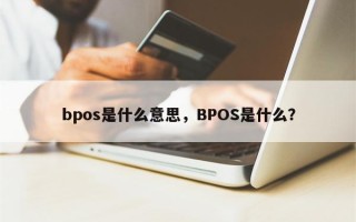 bpos是什么意思，BPOS是什么？