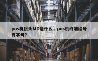 pos机接头MD是什么，pos机终端编号有字母？