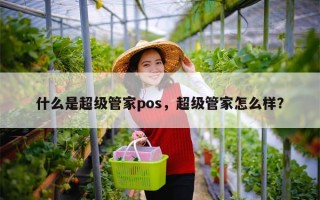 什么是超级管家pos，超级管家怎么样？