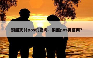 银盛支付pos机查询，银盛pos机官网？