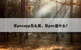 乐posapp怎么用，乐pos是什么？