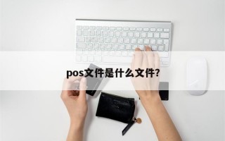 pos文件是什么文件？