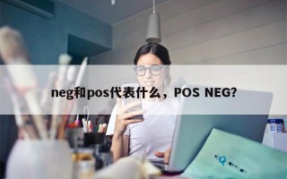 neg和pos代表什么，POS NEG？