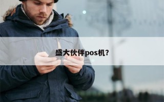 盛大伙伴pos机？