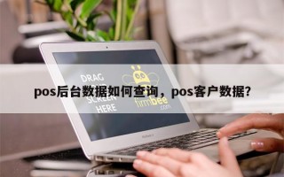 pos后台数据如何查询，pos客户数据？