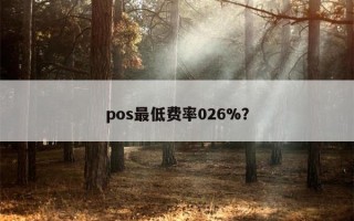 pos最低费率026%？