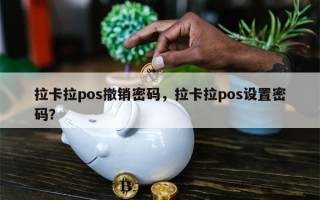 拉卡拉pos撤销密码，拉卡拉pos设置密码？