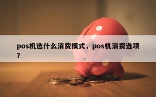 pos机选什么消费模式，pos机消费选项？