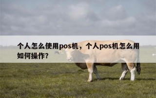 个人怎么使用pos机，个人pos机怎么用如何操作？