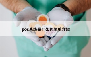 pos系统是什么的简单介绍