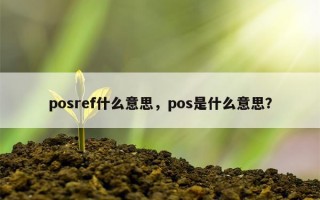 posref什么意思，pos是什么意思？