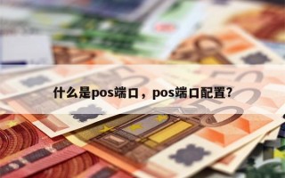 什么是pos端口，pos端口配置？