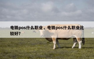 电销pos什么职业，电销pos什么职业比较好？